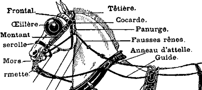 Windows Registry Structure